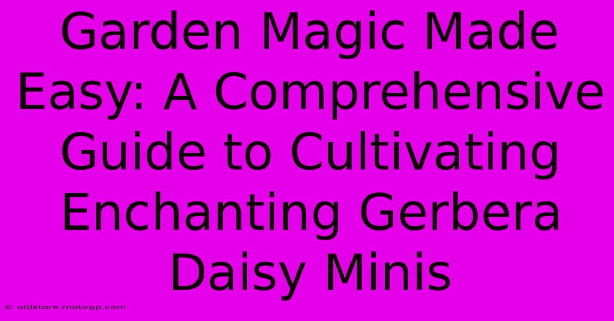 Garden Magic Made Easy: A Comprehensive Guide To Cultivating Enchanting Gerbera Daisy Minis