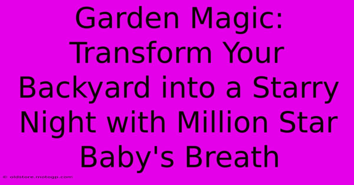 Garden Magic: Transform Your Backyard Into A Starry Night With Million Star Baby's Breath