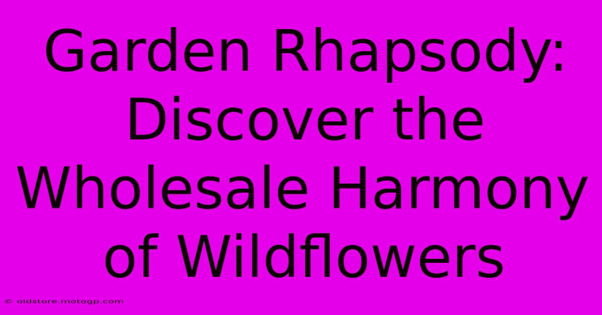 Garden Rhapsody: Discover The Wholesale Harmony Of Wildflowers