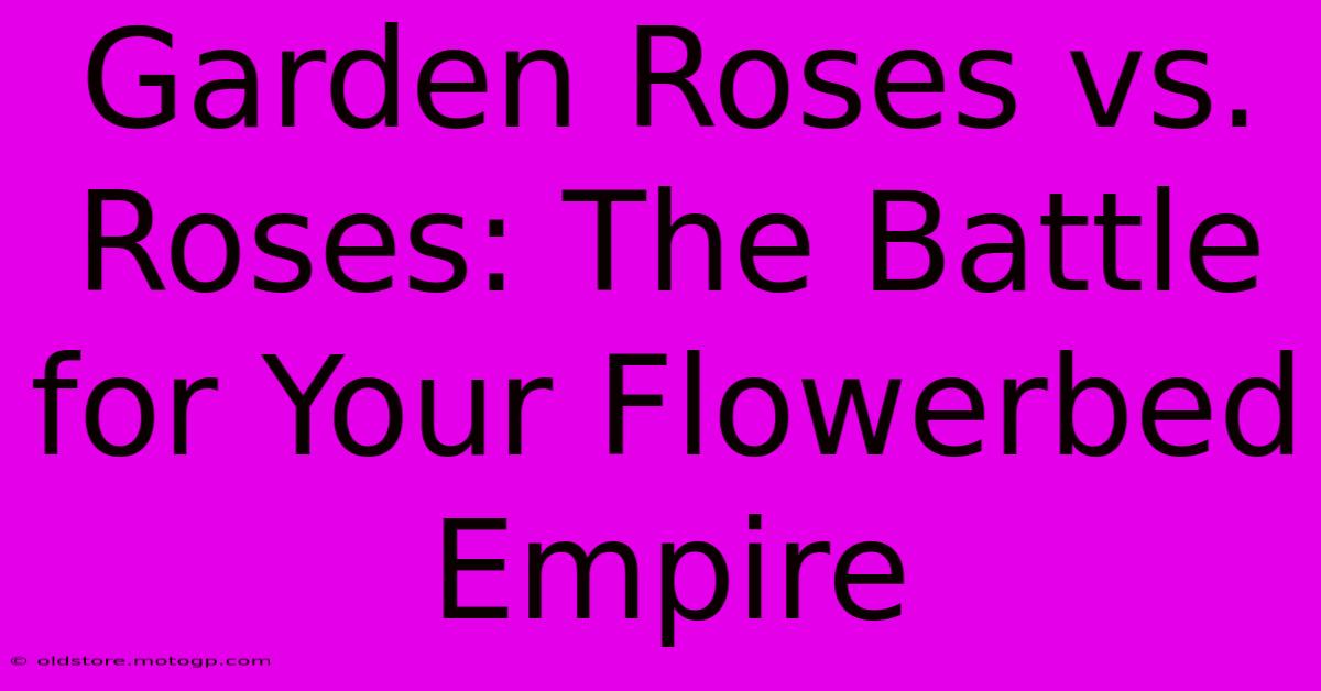 Garden Roses Vs. Roses: The Battle For Your Flowerbed Empire