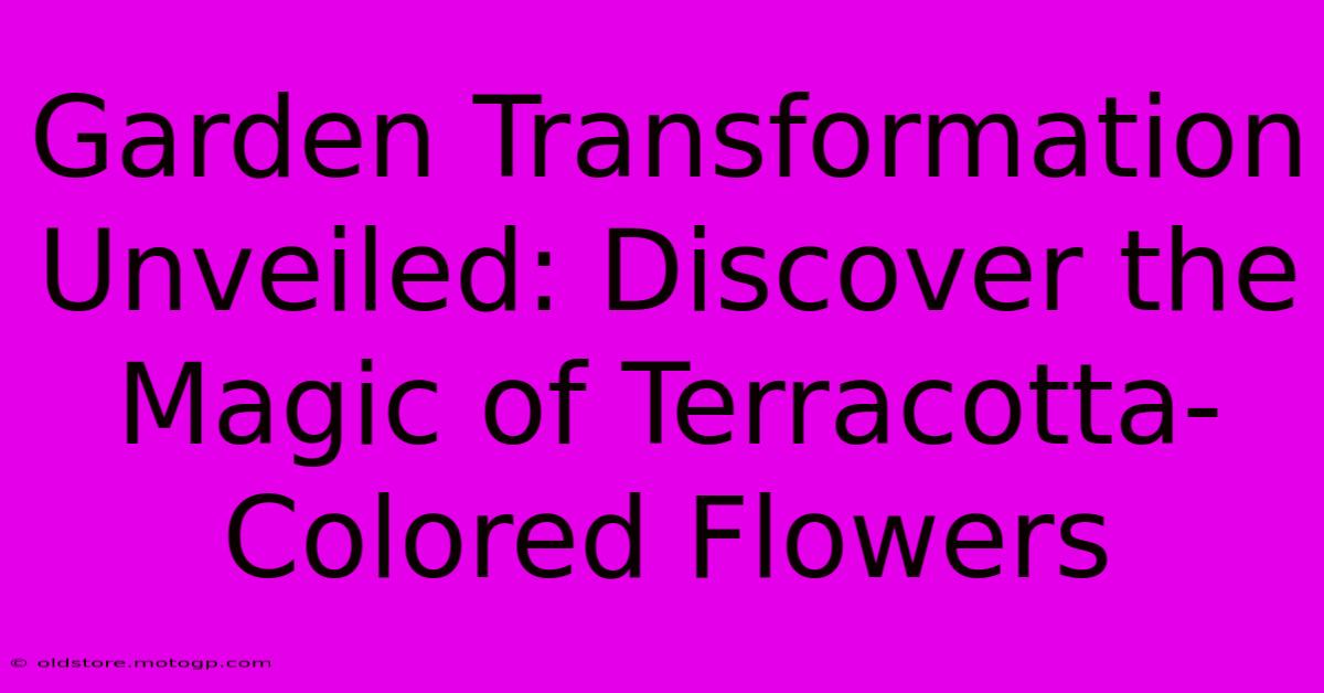 Garden Transformation Unveiled: Discover The Magic Of Terracotta-Colored Flowers