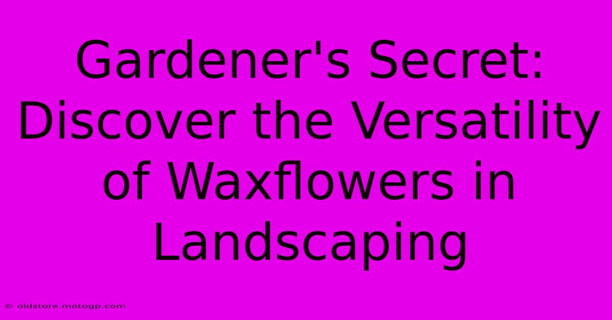 Gardener's Secret: Discover The Versatility Of Waxflowers In Landscaping