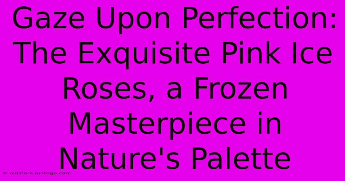 Gaze Upon Perfection: The Exquisite Pink Ice Roses, A Frozen Masterpiece In Nature's Palette