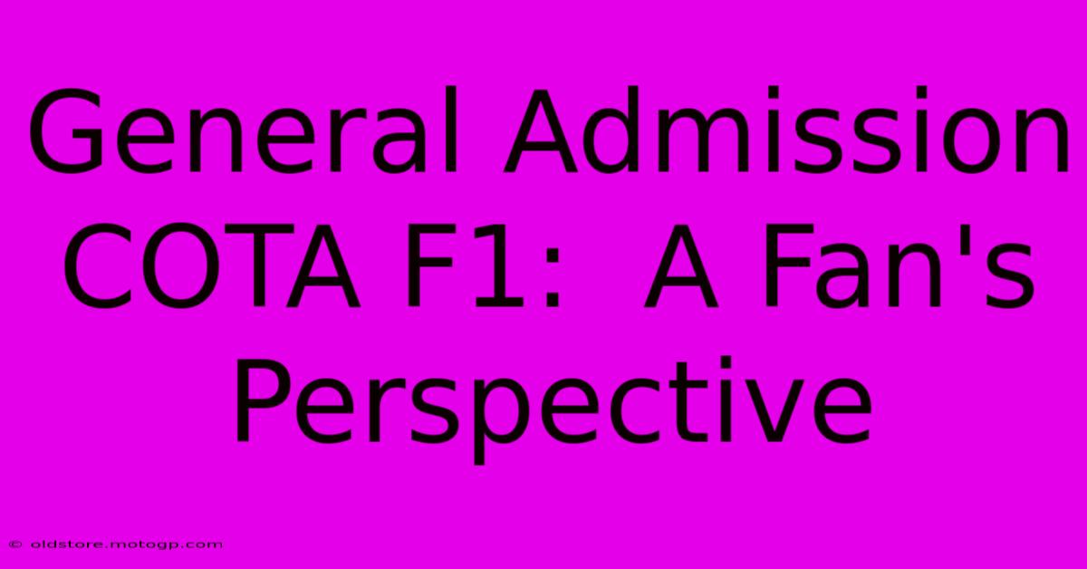 General Admission COTA F1:  A Fan's Perspective