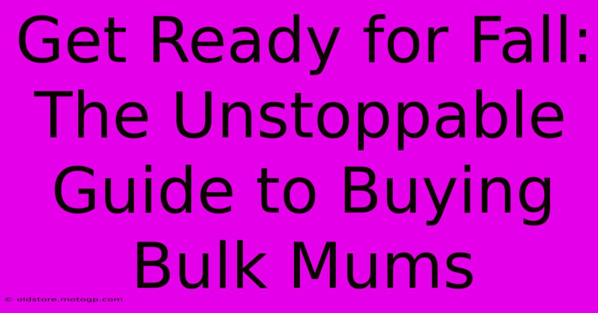 Get Ready For Fall: The Unstoppable Guide To Buying Bulk Mums