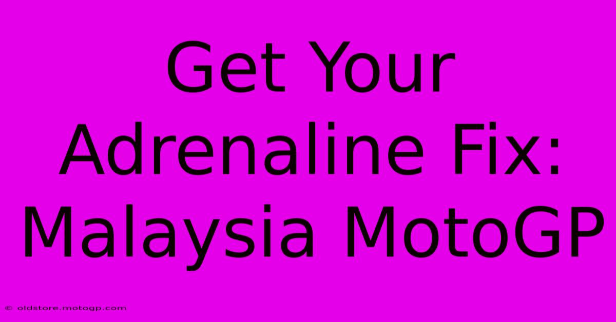 Get Your Adrenaline Fix: Malaysia MotoGP