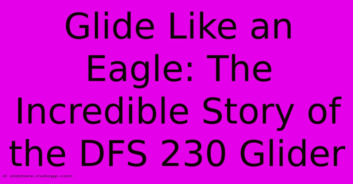 Glide Like An Eagle: The Incredible Story Of The DFS 230 Glider