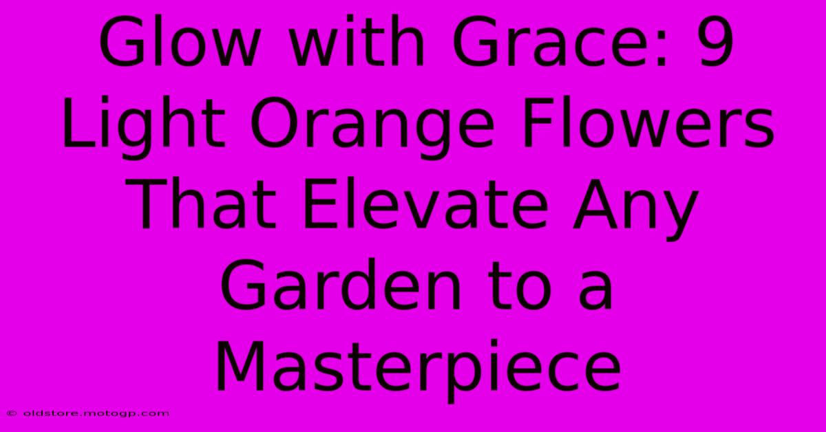 Glow With Grace: 9 Light Orange Flowers That Elevate Any Garden To A Masterpiece