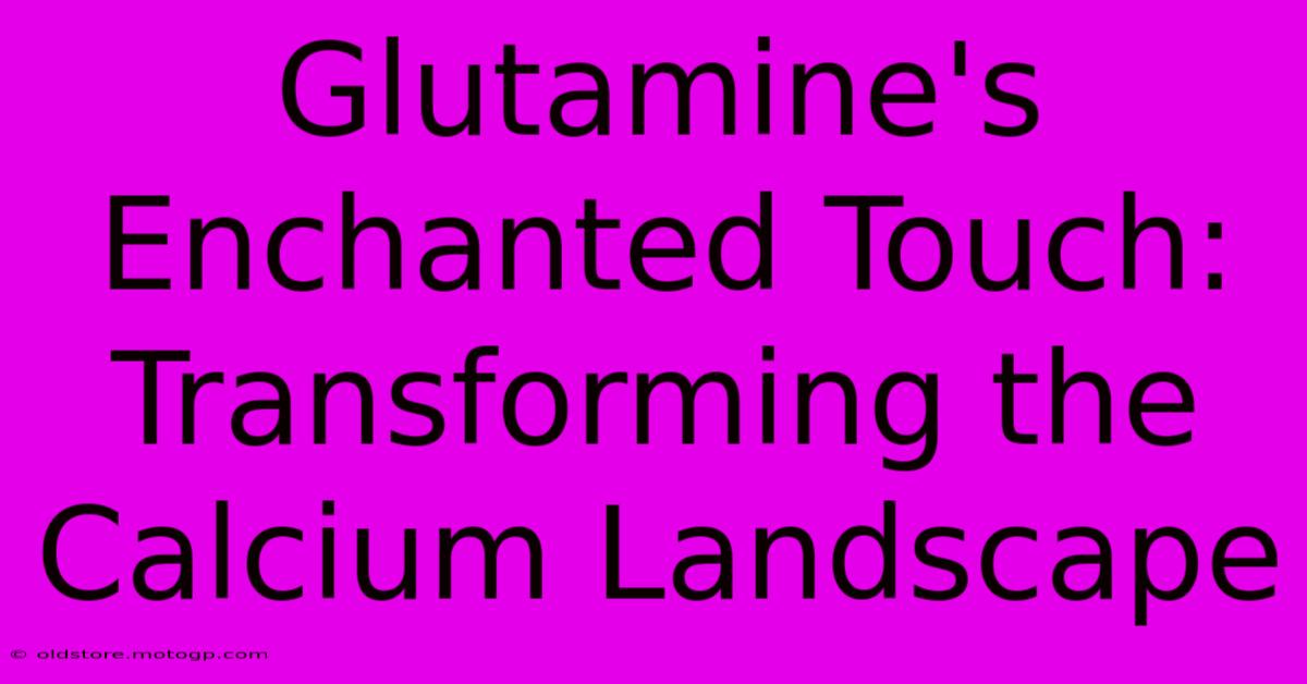 Glutamine's Enchanted Touch: Transforming The Calcium Landscape