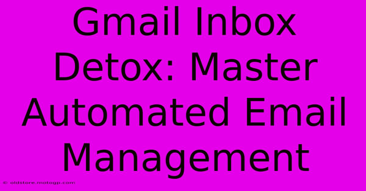 Gmail Inbox Detox: Master Automated Email Management