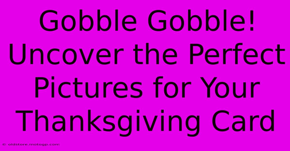 Gobble Gobble! Uncover The Perfect Pictures For Your Thanksgiving Card