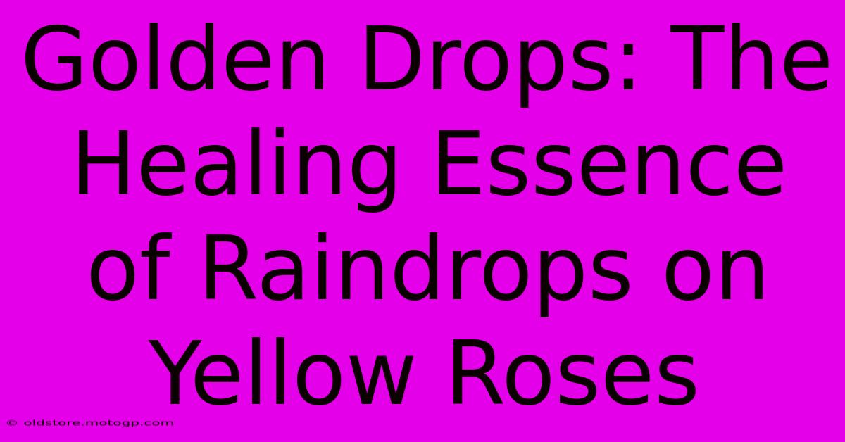 Golden Drops: The Healing Essence Of Raindrops On Yellow Roses