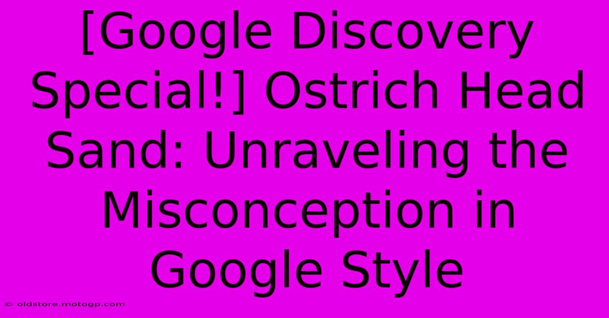 [Google Discovery Special!] Ostrich Head Sand: Unraveling The Misconception In Google Style