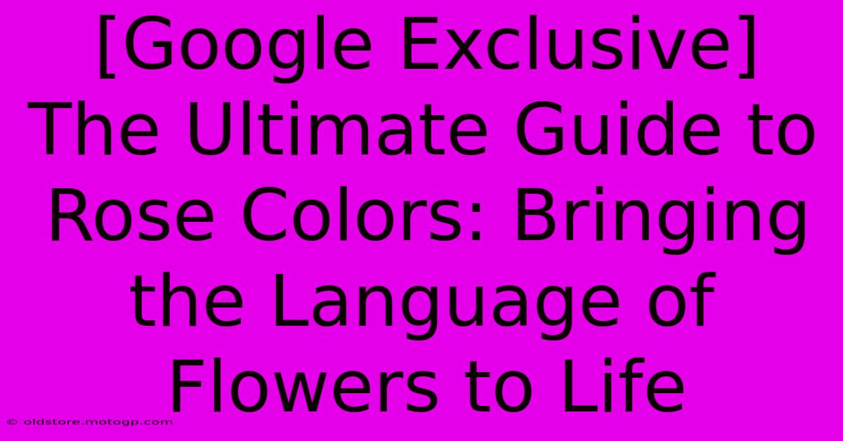 [Google Exclusive] The Ultimate Guide To Rose Colors: Bringing The Language Of Flowers To Life