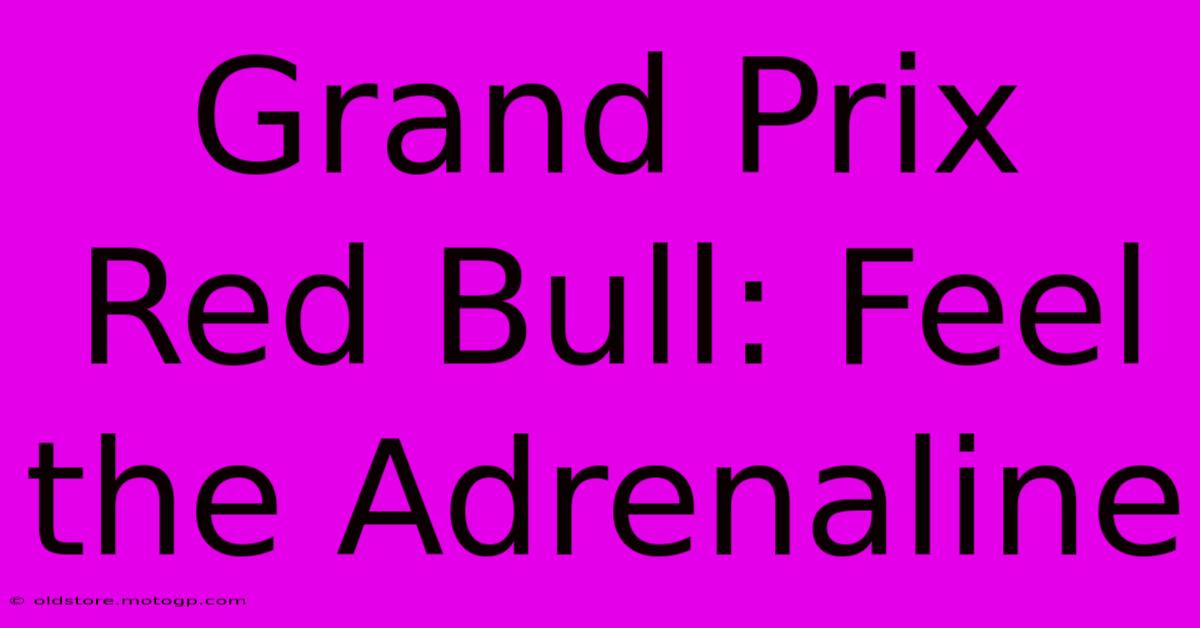 Grand Prix Red Bull: Feel The Adrenaline