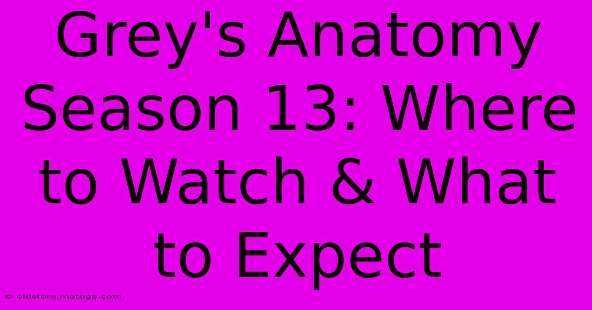 Grey's Anatomy Season 13: Where To Watch & What To Expect