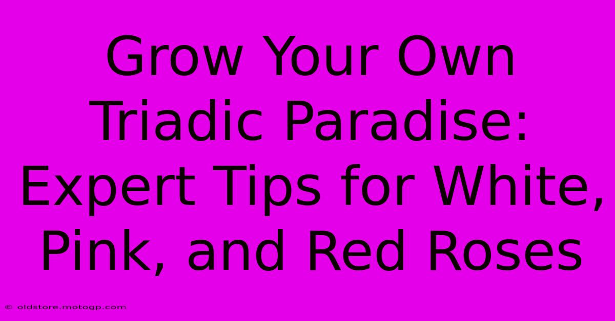 Grow Your Own Triadic Paradise: Expert Tips For White, Pink, And Red Roses