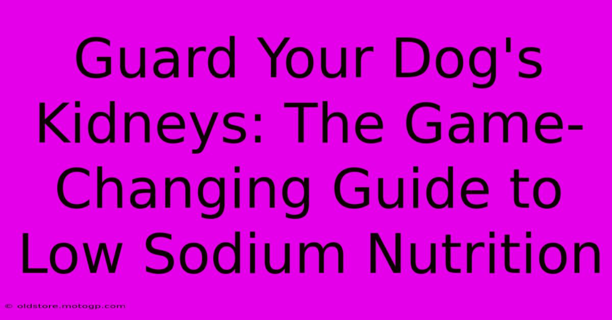 Guard Your Dog's Kidneys: The Game-Changing Guide To Low Sodium Nutrition