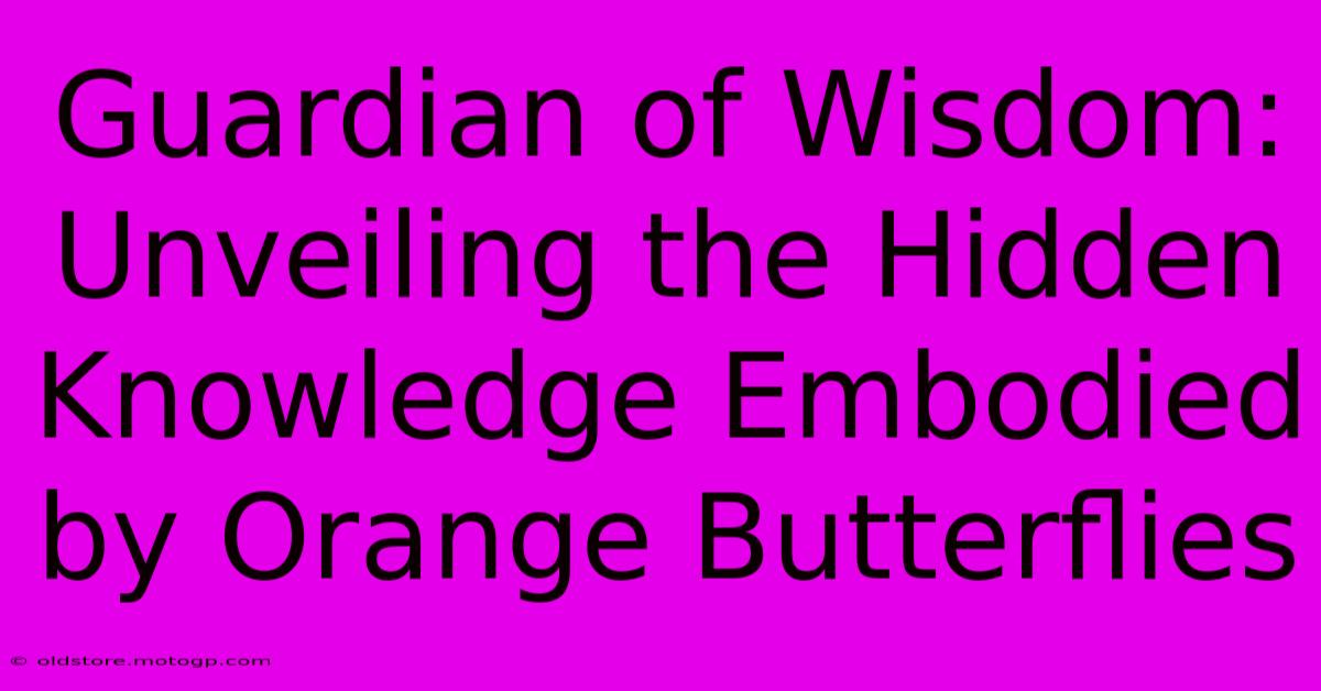 Guardian Of Wisdom: Unveiling The Hidden Knowledge Embodied By Orange Butterflies