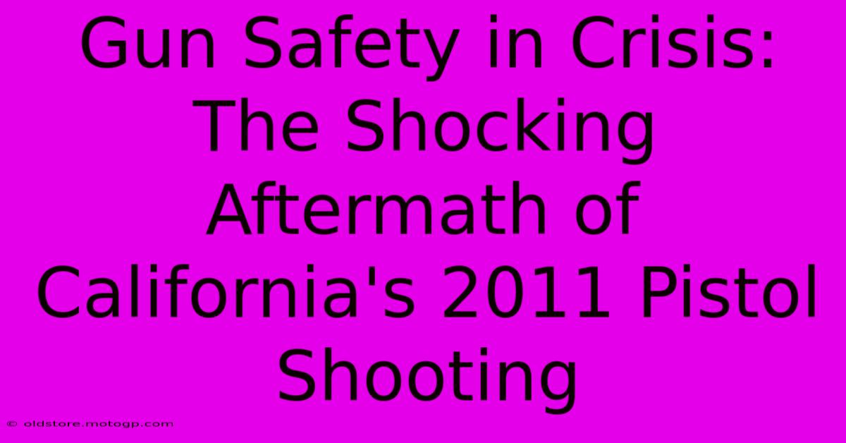 Gun Safety In Crisis: The Shocking Aftermath Of California's 2011 Pistol Shooting