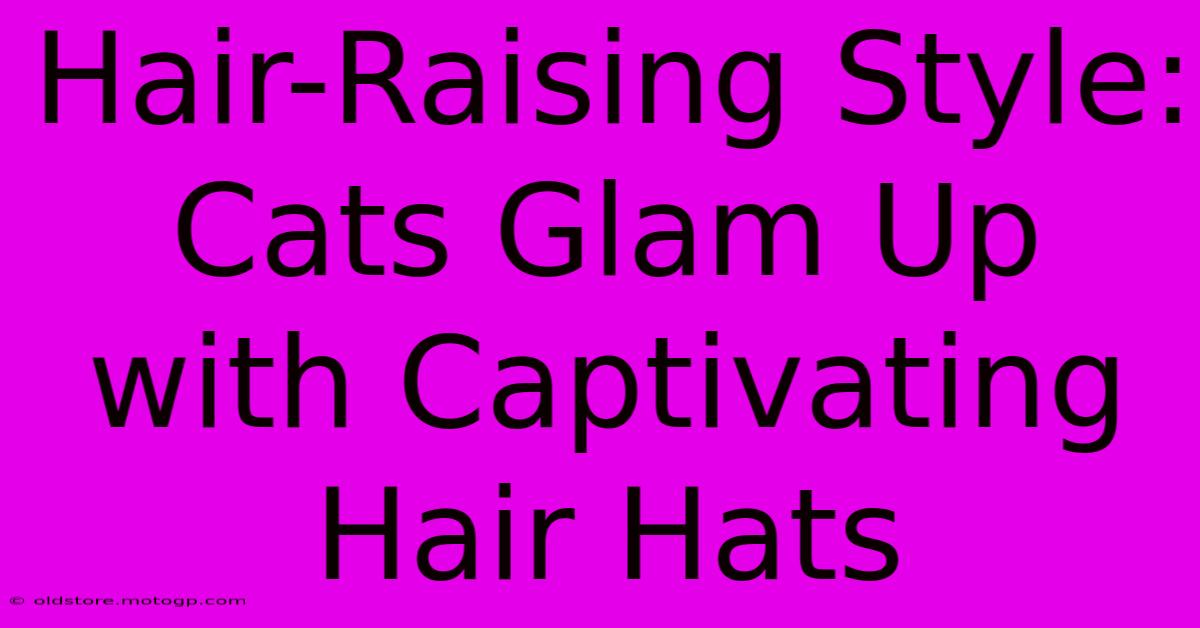 Hair-Raising Style: Cats Glam Up With Captivating Hair Hats