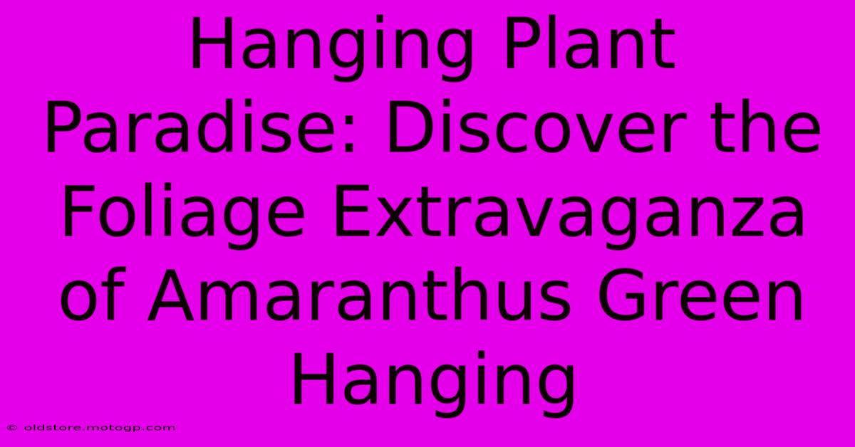 Hanging Plant Paradise: Discover The Foliage Extravaganza Of Amaranthus Green Hanging