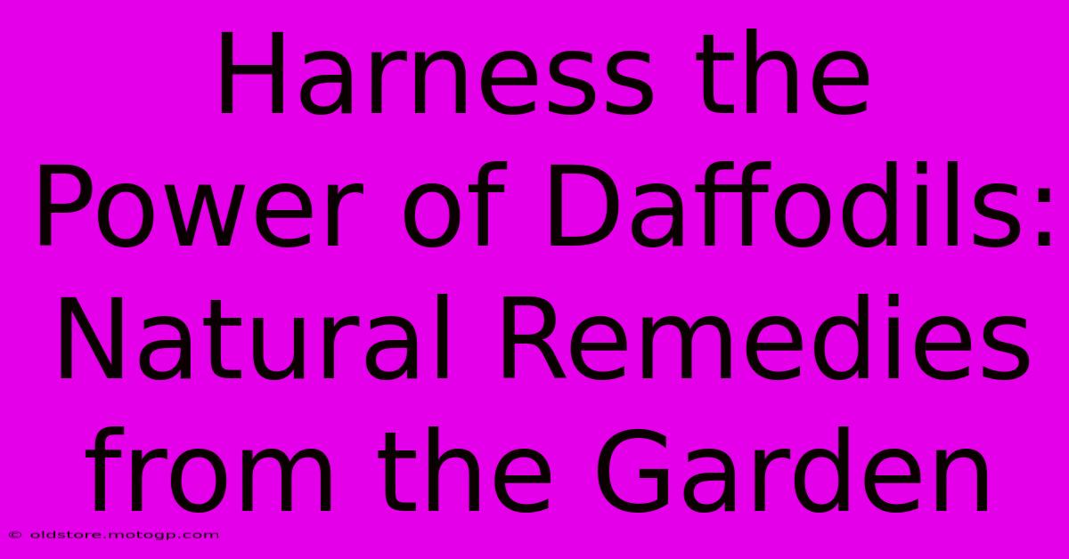 Harness The Power Of Daffodils: Natural Remedies From The Garden