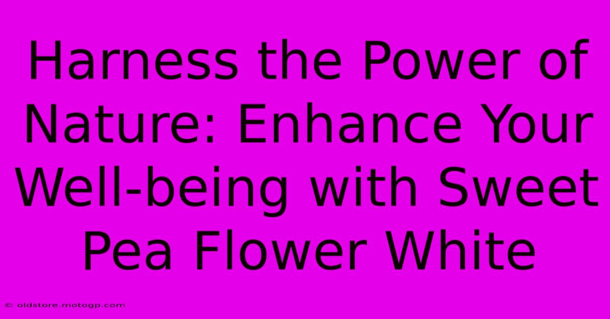 Harness The Power Of Nature: Enhance Your Well-being With Sweet Pea Flower White