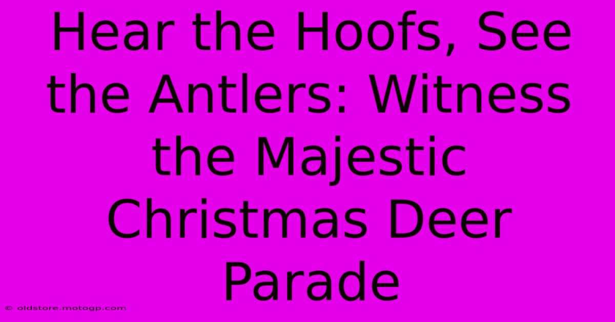 Hear The Hoofs, See The Antlers: Witness The Majestic Christmas Deer Parade