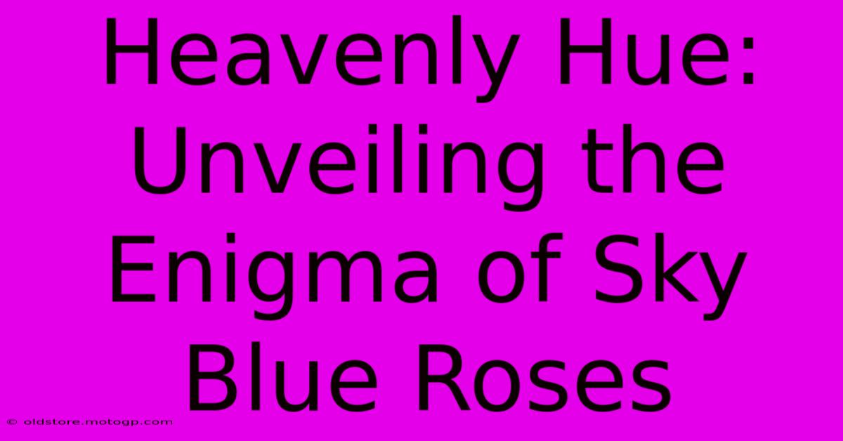 Heavenly Hue: Unveiling The Enigma Of Sky Blue Roses