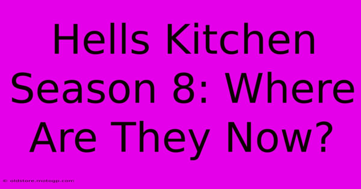 Hells Kitchen Season 8: Where Are They Now?