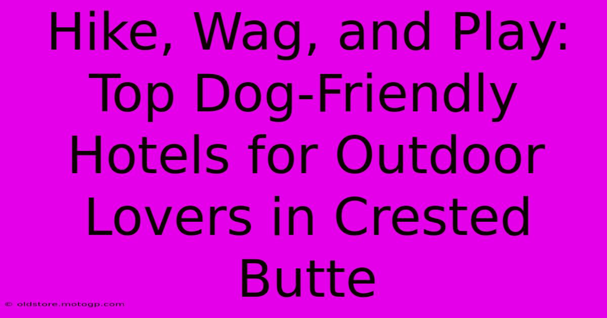 Hike, Wag, And Play: Top Dog-Friendly Hotels For Outdoor Lovers In Crested Butte