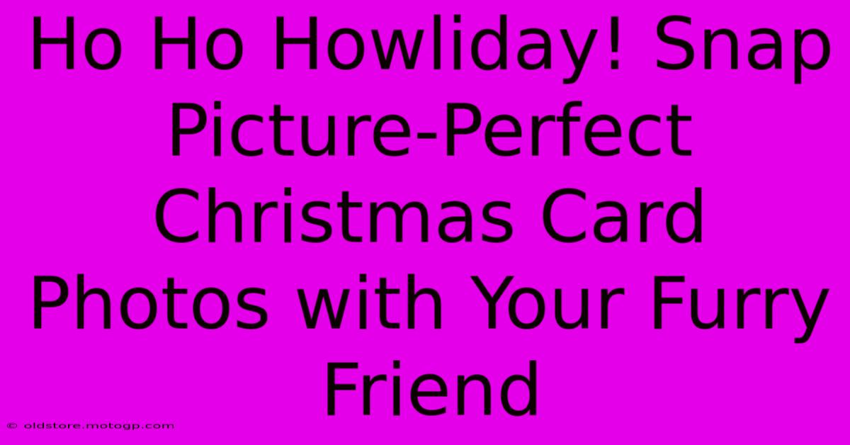 Ho Ho Howliday! Snap Picture-Perfect Christmas Card Photos With Your Furry Friend