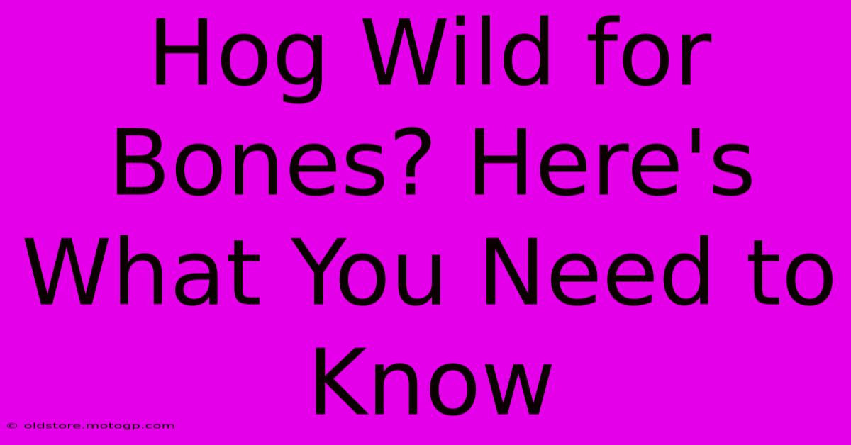 Hog Wild For Bones? Here's What You Need To Know