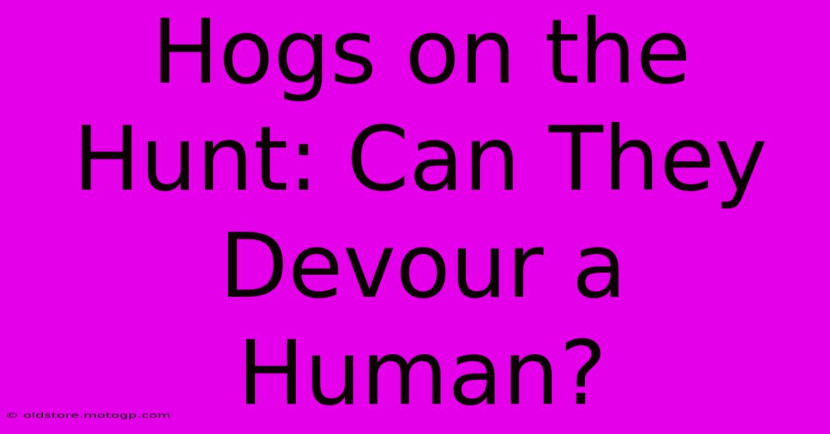 Hogs On The Hunt: Can They Devour A Human?