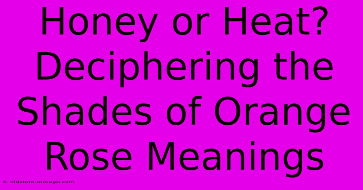 Honey Or Heat? Deciphering The Shades Of Orange Rose Meanings