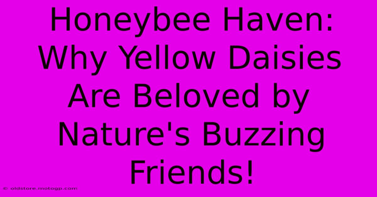 Honeybee Haven: Why Yellow Daisies Are Beloved By Nature's Buzzing Friends!