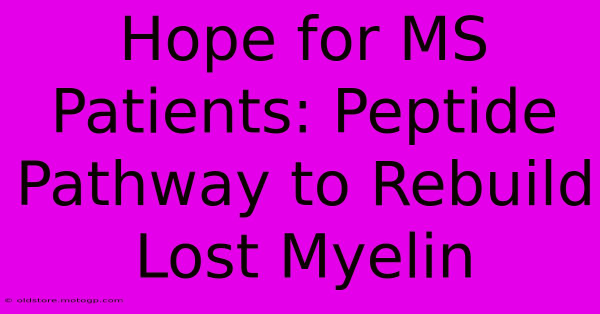 Hope For MS Patients: Peptide Pathway To Rebuild Lost Myelin