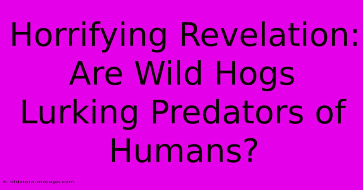 Horrifying Revelation: Are Wild Hogs Lurking Predators Of Humans?