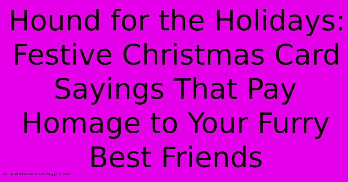 Hound For The Holidays: Festive Christmas Card Sayings That Pay Homage To Your Furry Best Friends