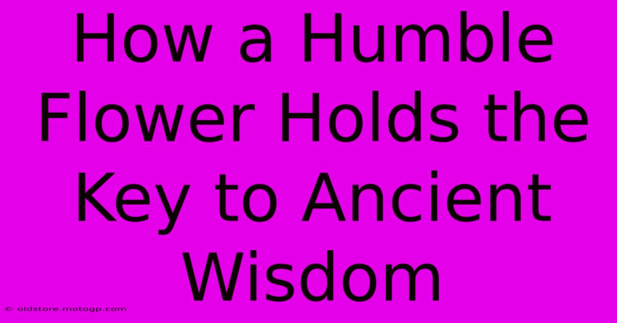 How A Humble Flower Holds The Key To Ancient Wisdom