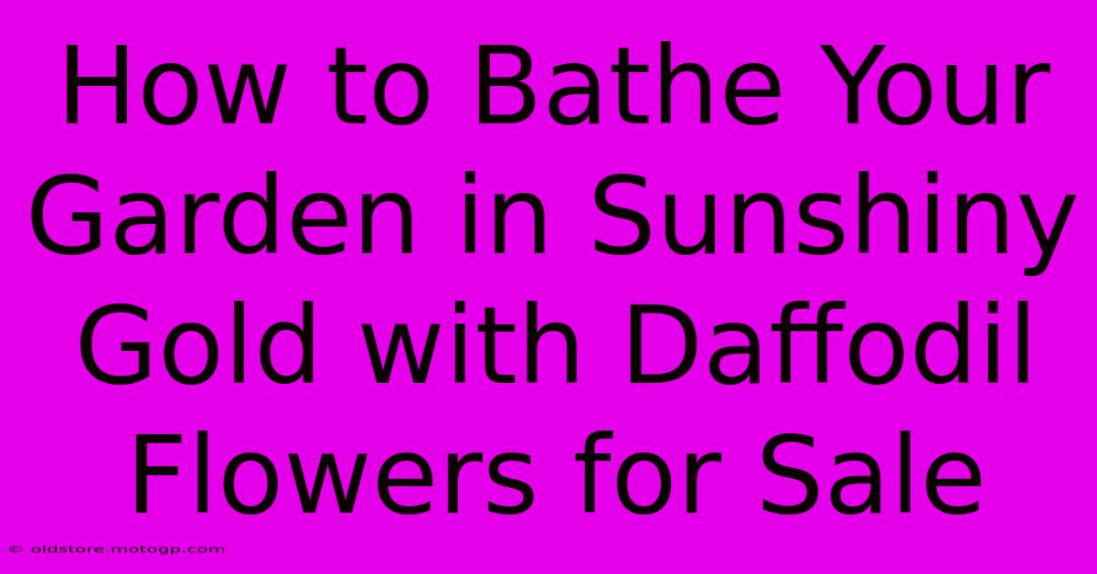 How To Bathe Your Garden In Sunshiny Gold With Daffodil Flowers For Sale