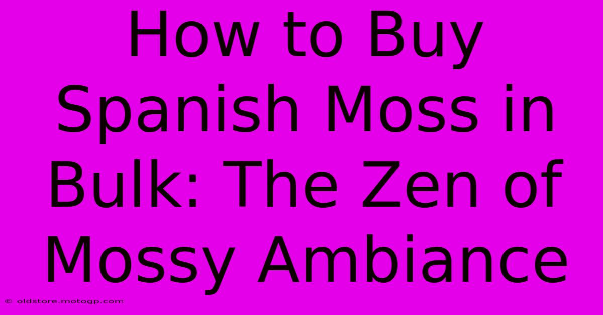 How To Buy Spanish Moss In Bulk: The Zen Of Mossy Ambiance