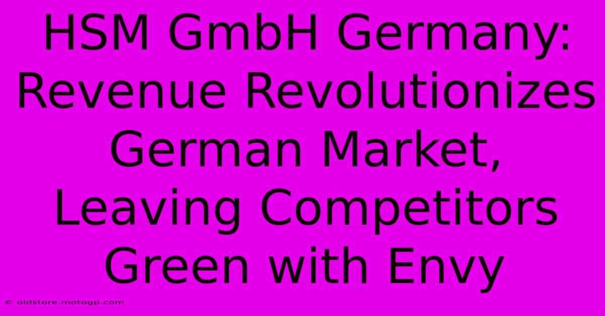 HSM GmbH Germany: Revenue Revolutionizes German Market, Leaving Competitors Green With Envy