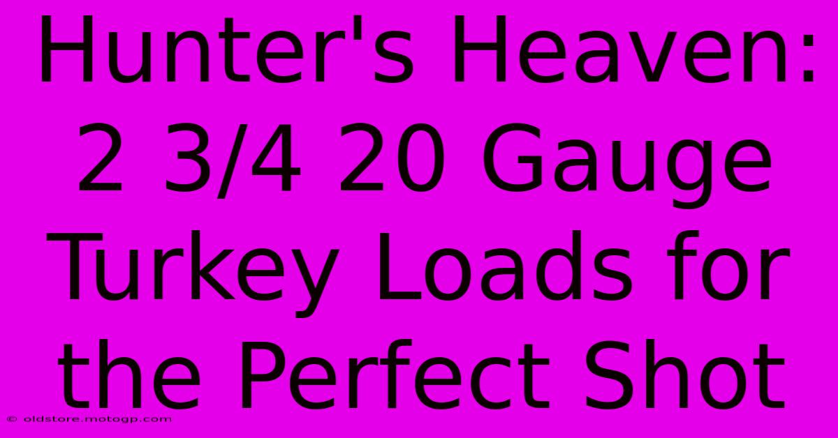 Hunter's Heaven: 2 3/4 20 Gauge Turkey Loads For The Perfect Shot