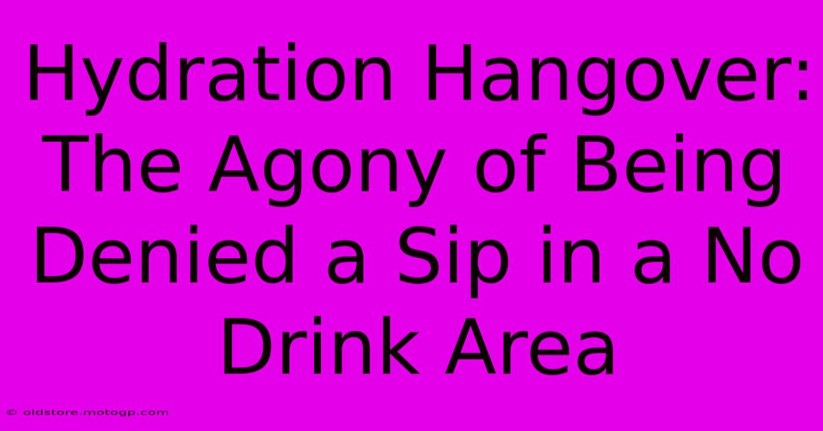 Hydration Hangover: The Agony Of Being Denied A Sip In A No Drink Area