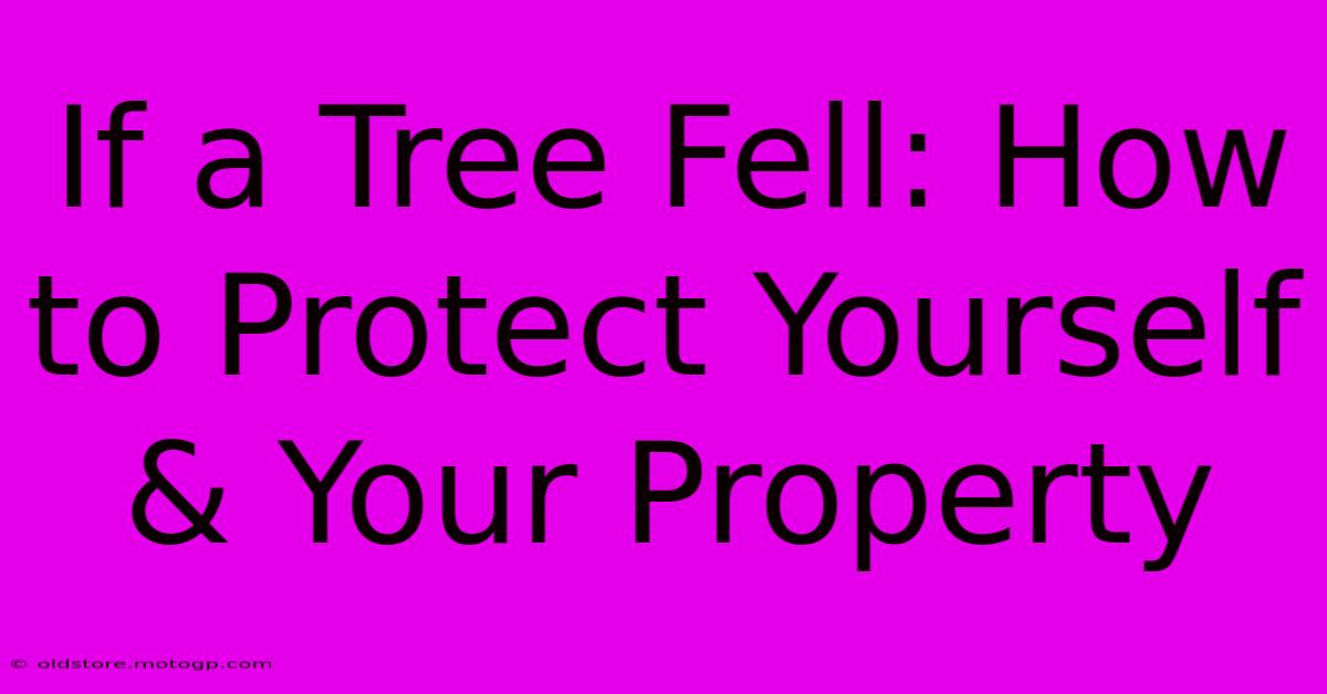 If A Tree Fell: How To Protect Yourself & Your Property