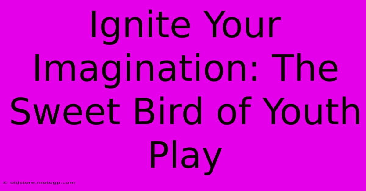 Ignite Your Imagination: The Sweet Bird Of Youth Play