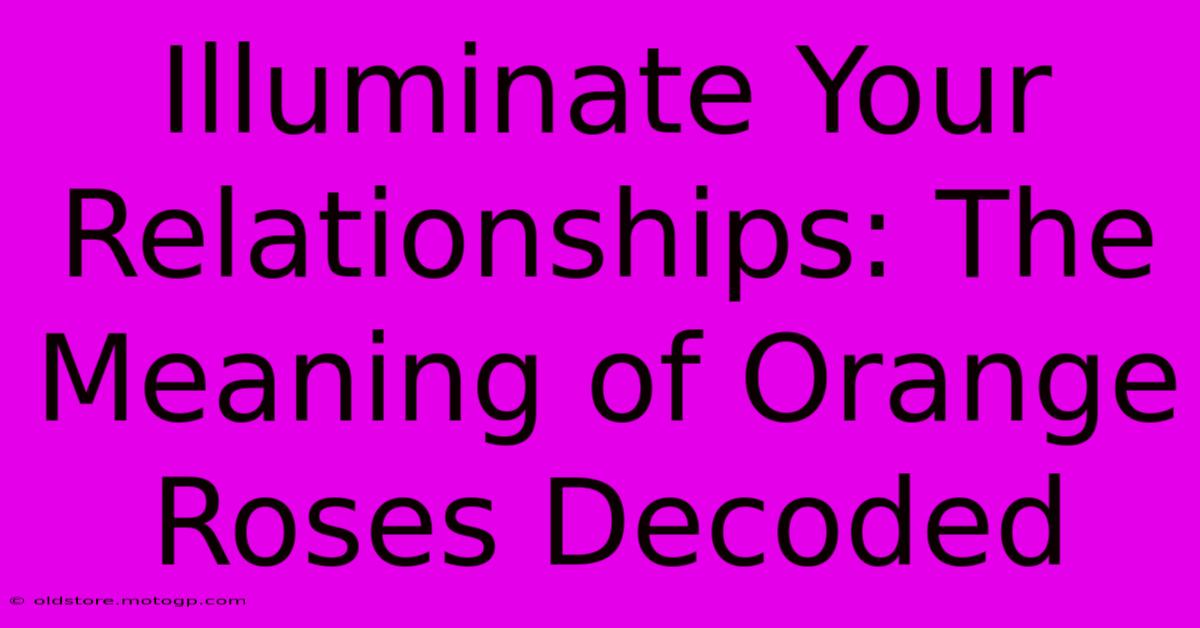 Illuminate Your Relationships: The Meaning Of Orange Roses Decoded