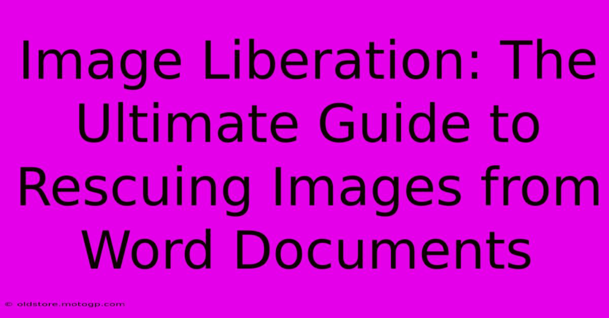 Image Liberation: The Ultimate Guide To Rescuing Images From Word Documents